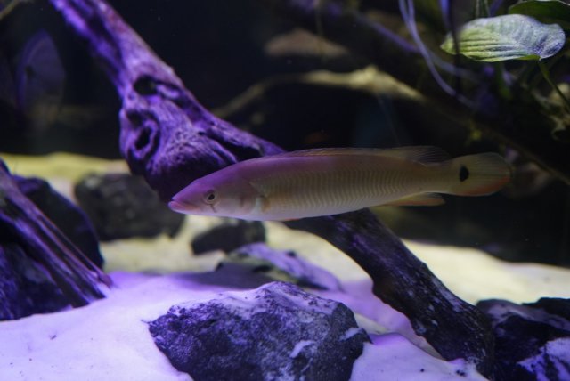 B1B239C2-4DF1-4B26-BF6A-DC5D24445350.jpg B1B239C2-4DF1-4B26-BF6A-DC5D24445350.jpg