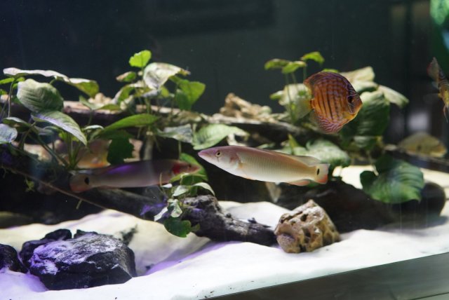 D7678F8A-1ACB-45F3-8513-F92DEA3DEF7A.jpg D7678F8A-1ACB-45F3-8513-F92DEA3DEF7A.jpg