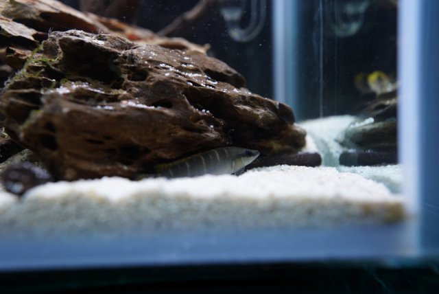 F3B35308-4AD8-41DD-8A86-D66956750746.jpg F3B35308-4AD8-41DD-8A86-D66956750746.jpg