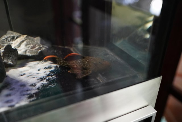 F3CC7865-3DB9-4D86-BCE6-C7BF19B0871C.jpg F3CC7865-3DB9-4D86-BCE6-C7BF19B0871C.jpg