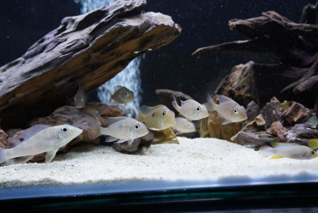 F17155FE-87F3-48D5-ACA8-8CA7DEC049AC.jpg F17155FE-87F3-48D5-ACA8-8CA7DEC049AC.jpg