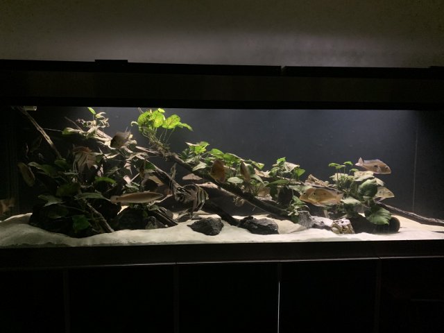 9C254D86-25D3-413F-822D-FF13AF3B6EFF.jpg 9C254D86-25D3-413F-822D-FF13AF3B6EFF.jpg