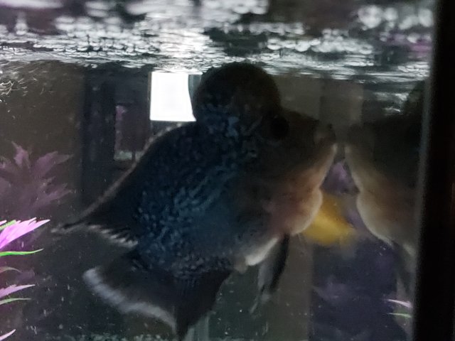 20200128_212555.jpg