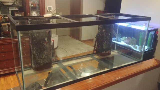 20200204_175427.jpg 20200204_175427.jpg