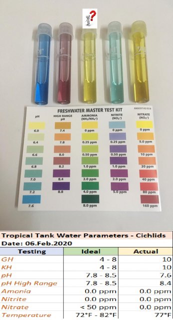 Water Parameters.jpg