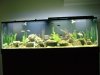 DSC00695.JPG