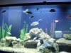 DSC00750.JPG