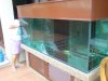 DSC00252.JPG