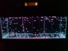 DSC00293.JPG