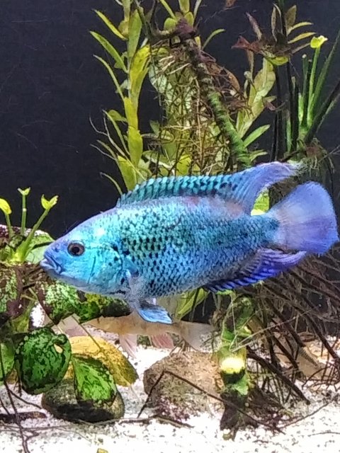 IMG_20190131_221223631.jpg IMG_20190131_221223631.jpg