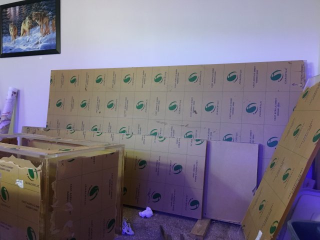 6B07B380-2866-4183-AD01-1F4B4365006B.jpeg 6B07B380-2866-4183-AD01-1F4B4365006B.jpeg