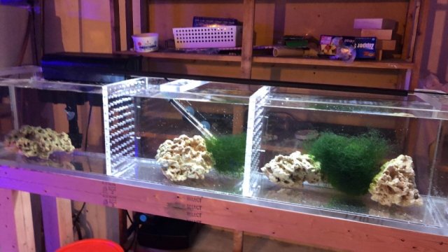 1581208499690.jpeg 1581208499690.jpeg