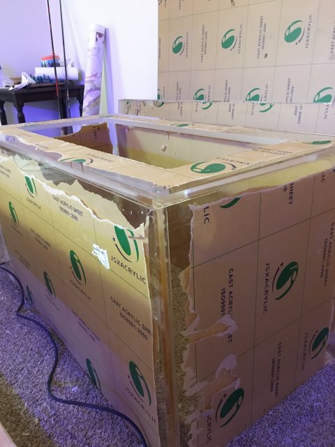 8CF052E6-5EB8-4DB4-9D3A-2C64B5BD8F3A.jpeg 8CF052E6-5EB8-4DB4-9D3A-2C64B5BD8F3A.jpeg