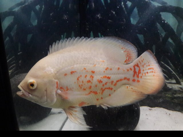 20171007_103213.jpg 20171007_103213.jpg