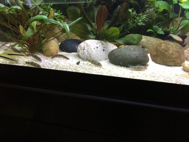 IMG_4149.JPG IMG_4149.JPG