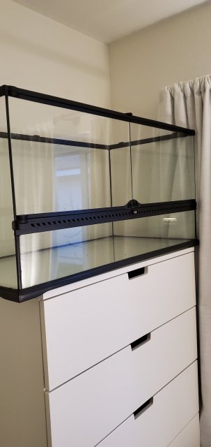 20200213_173600.jpg 20200213_173600.jpg