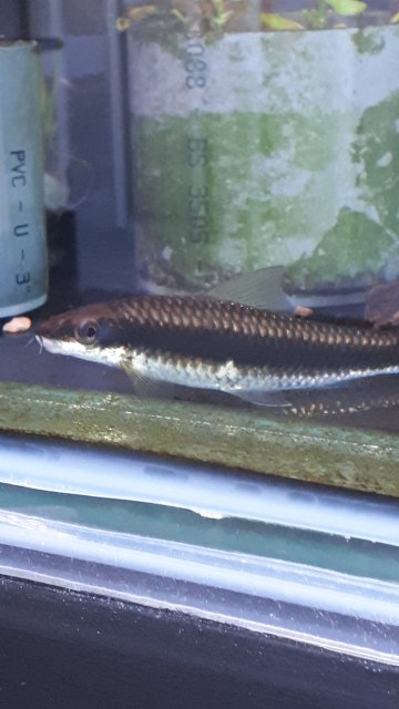 20200216_140722.jpg 20200216_140722.jpg