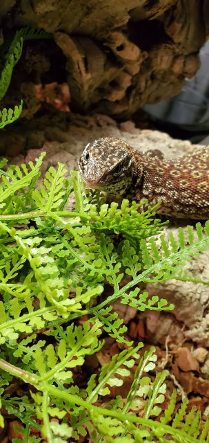 20200216_210417.jpg 20200216_210417.jpg