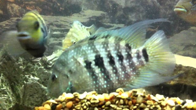 1581986343344.jpeg 1581986343344.jpeg