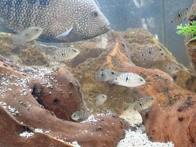 20200217_190650_HDR.jpg 20200217_190650_HDR.jpg