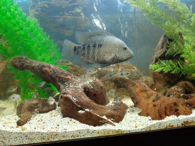 20200217_190644_HDR.jpg 20200217_190644_HDR.jpg