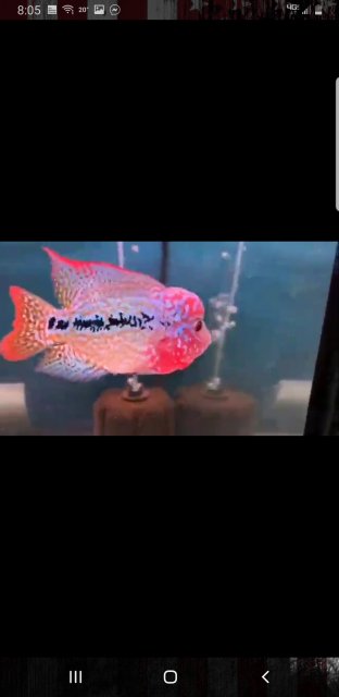 Screenshot_20200217-200518_One UI Home.jpg