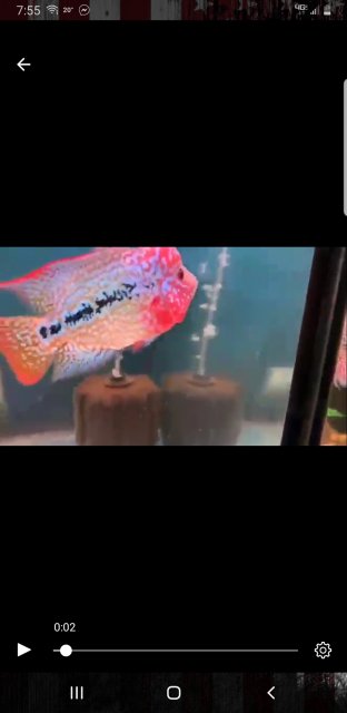 Screenshot_20200217-195534_One UI Home.jpg