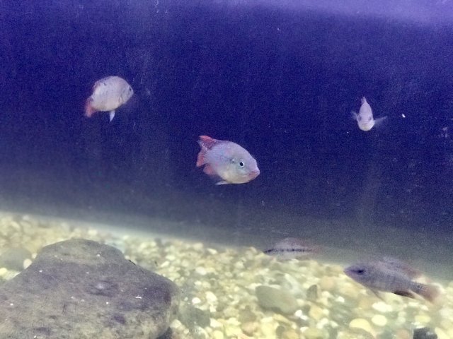 IMG_6009.jpg IMG_6009.jpg