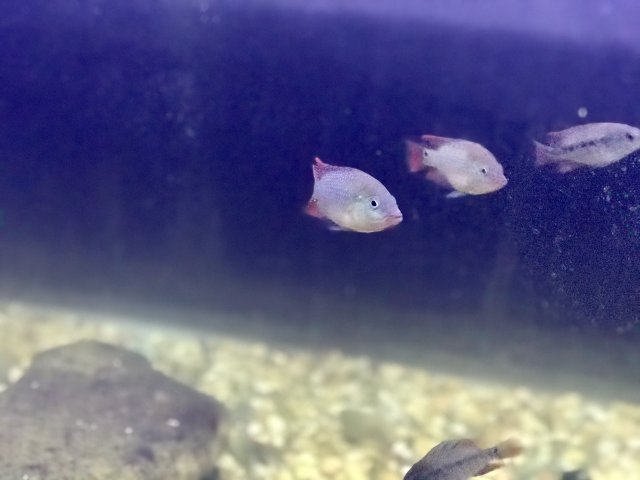 IMG_6010.jpg IMG_6010.jpg