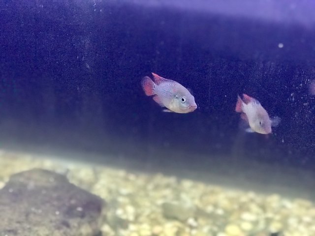 IMG_6011.jpg IMG_6011.jpg