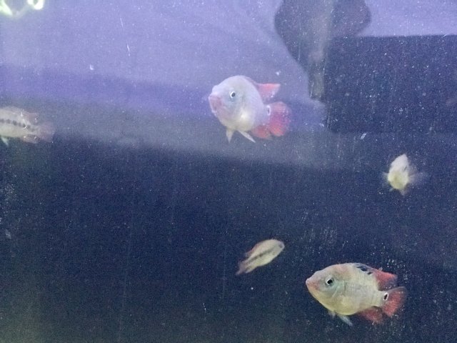 IMG_6014.jpg IMG_6014.jpg