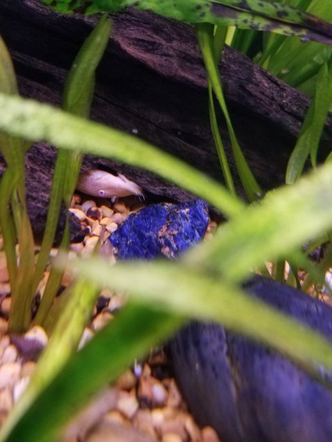 20191217_151634.jpg
