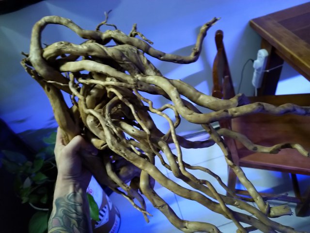 New driftwood 1.jpg New driftwood 1.jpg