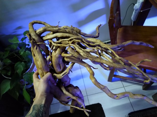 new driftwood3.jpg new driftwood3.jpg