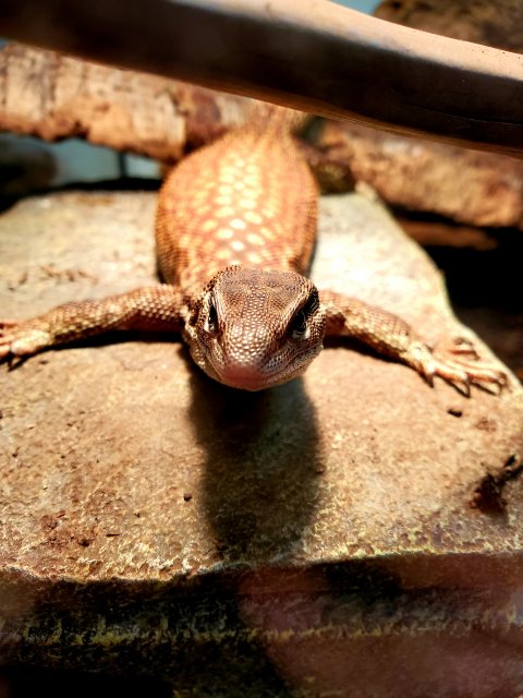 20200206_153506.jpg 20200206_153506.jpg