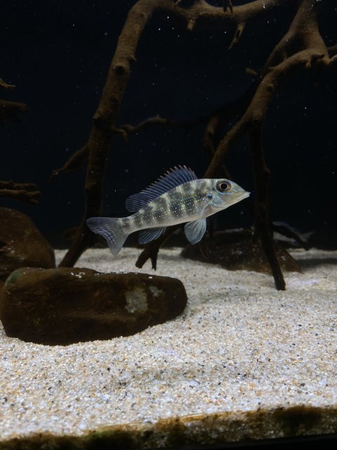 E7F211B8-ABD9-4D7B-8E6B-CBFA0C408420.jpeg E7F211B8-ABD9-4D7B-8E6B-CBFA0C408420.jpeg