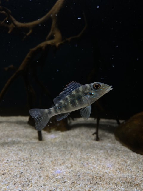 D403BBCA-FB8F-45FB-85A9-796ED4726DDA.jpeg D403BBCA-FB8F-45FB-85A9-796ED4726DDA.jpeg