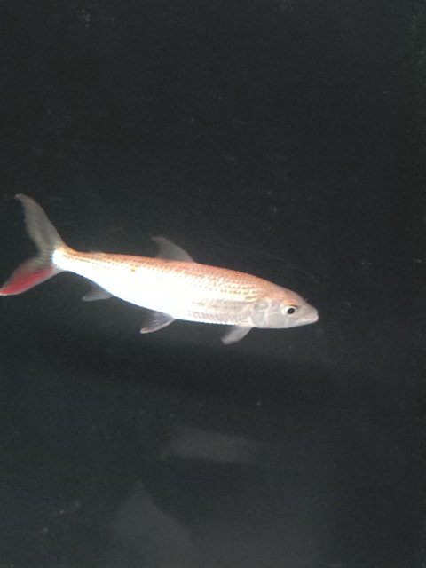P_20200216_205320.jpg