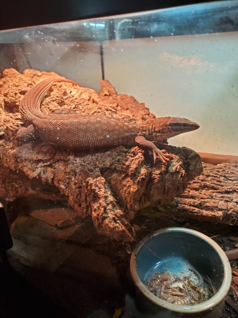 20200214_161420.jpg 20200214_161420.jpg