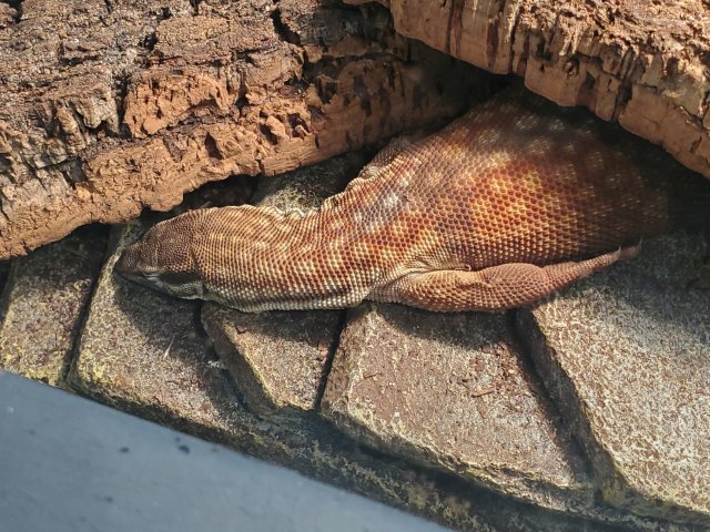 20191228_005758.jpg 20191228_005758.jpg