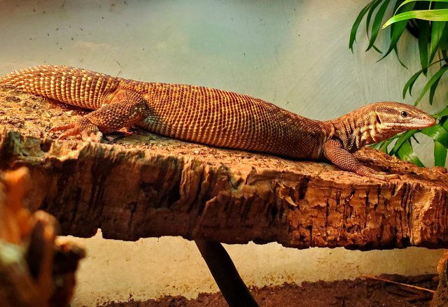 20191102_021702.jpg 20191102_021702.jpg