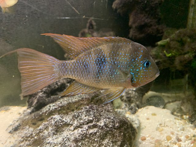 3D5D6459-8DDA-477B-A349-F09DD5D85A59.jpeg 3D5D6459-8DDA-477B-A349-F09DD5D85A59.jpeg