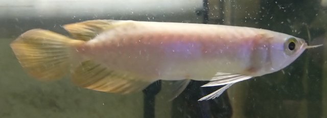 A724.jpg A724.jpg