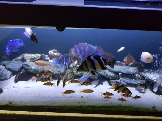 20191110_230858.jpg
