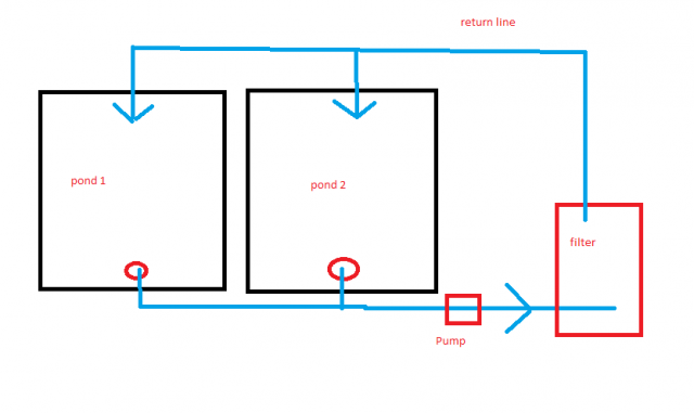 Pond Diagram.PNG Pond Diagram.PNG