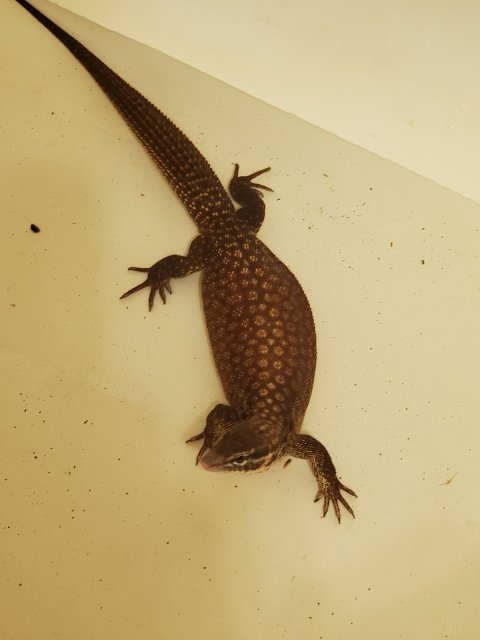 20200224_205651.jpg 20200224_205651.jpg