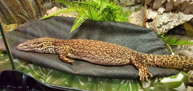 20200221_213527.jpg 20200221_213527.jpg