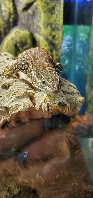 20200210_142701.jpg 20200210_142701.jpg