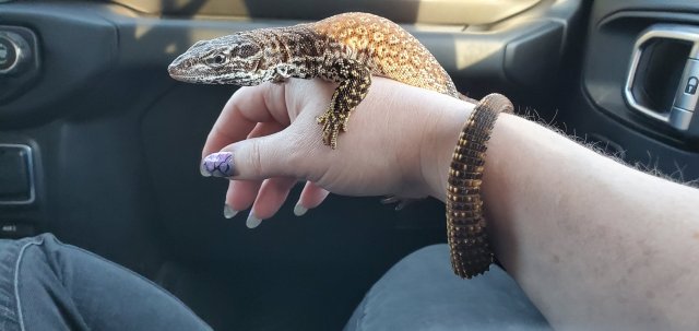 20200209_163857.jpg 20200209_163857.jpg