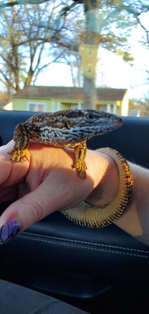 20200209_163906.jpg 20200209_163906.jpg